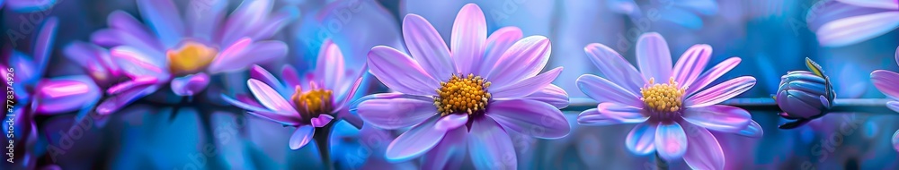Group of Purple Flowers Sitting Together Group of Purple Flowers Sitting Together