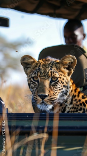 Wildlife conservation safari, close encounters of the natural kind photo