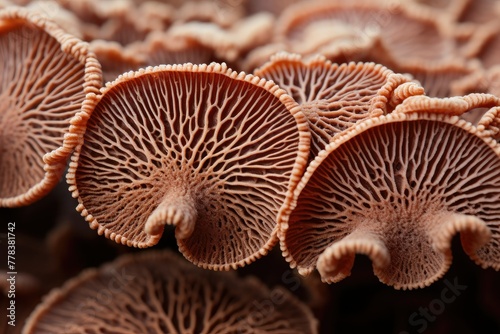 A detailed close-up view of a cluster of mushrooms in their natural habitat, showcasing the unique textures and shapes of the fungi. Generative AI
