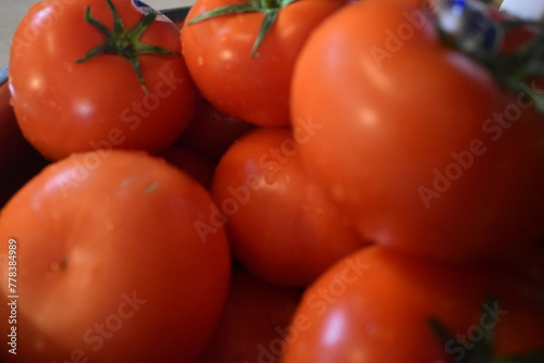 Tomates 6 Avril 2024 © Frederic's