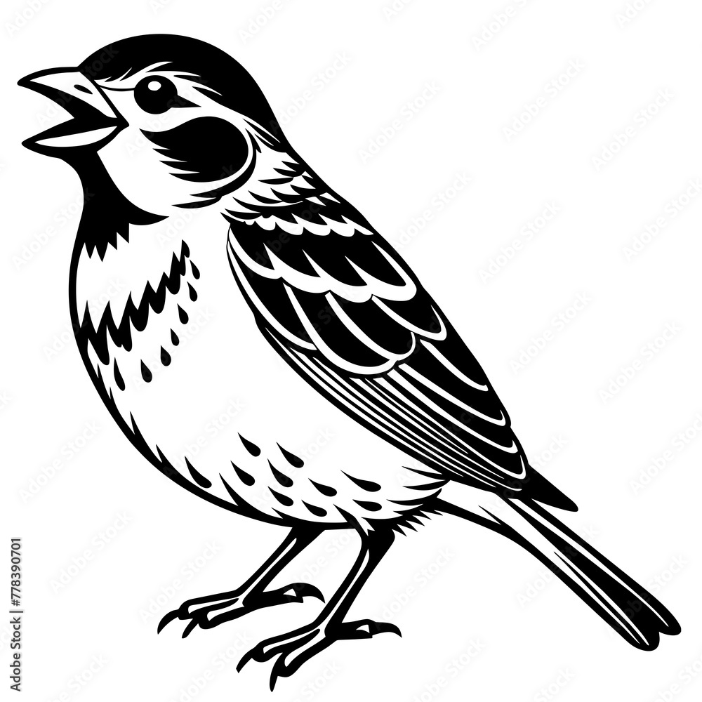 Naklejka premium songbird vector design 
