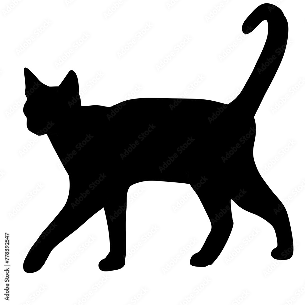 black cat silhouette