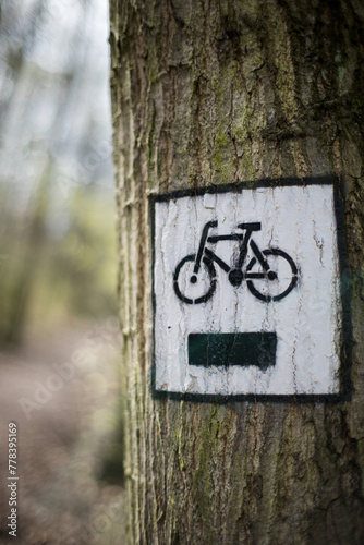 Znak droga rowerowa w lesie.