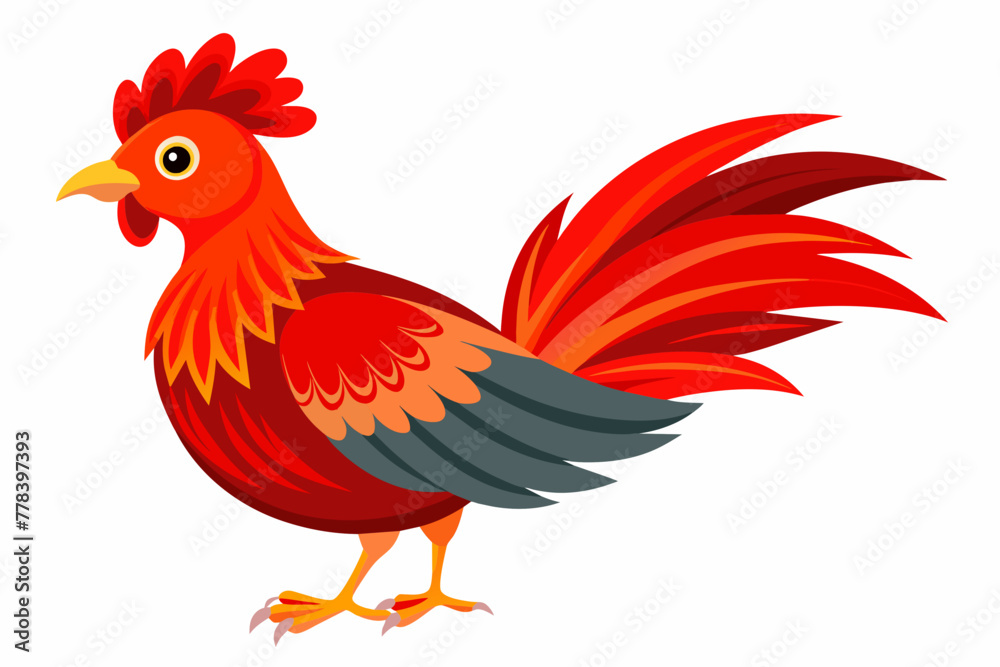 red-jungle-fowl-with-white-background.