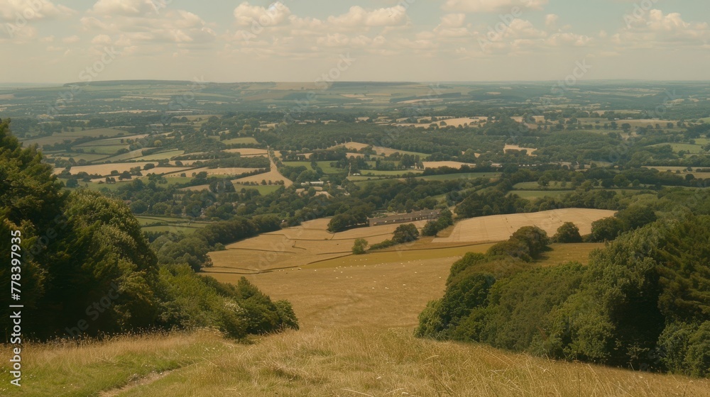  Top of hill, valley, lush green field, trees