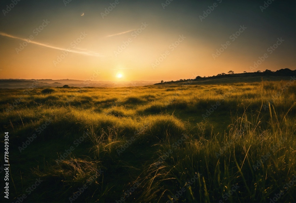 sunset over the field