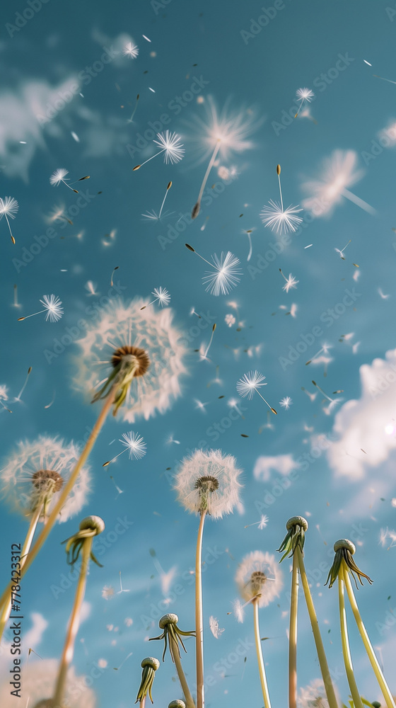 Peaceful image of dandelion seeds drifting through the sky against a backdrop of blue