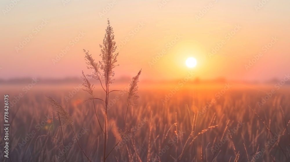 Naklejka premium Pastel Sunrise Over Minimalistic Savannah: Abstract Warmth.