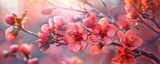 Spring Awakens: An Intimate Look at the Vibrant Blooms of a Flowering Quince Branch