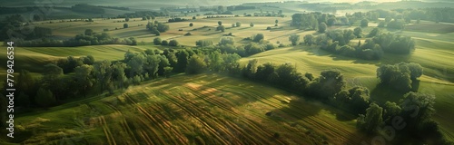 beautiful arial view of agricultural rural green landscape at the sunrise