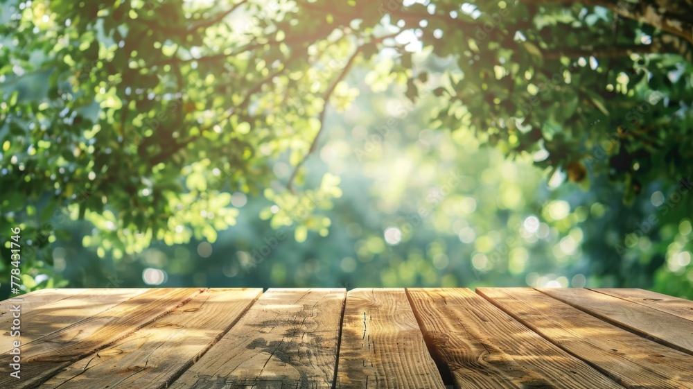 Empty Wooden Deck in Park Background Empty Wooden Deck in Park Background