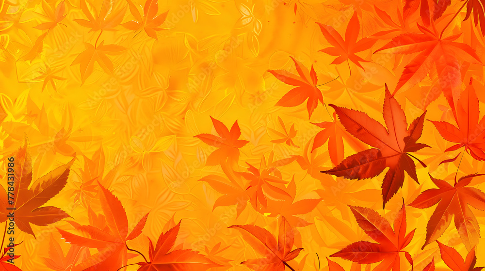 Fototapeta premium autumn leaves background