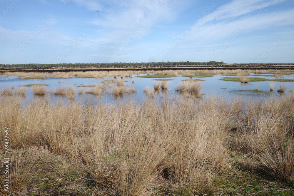 The vast landscape of a peat bog in Germany. It was previously used to extract peat, but is now left alone