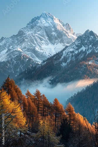 a mountain with trees and fog photo