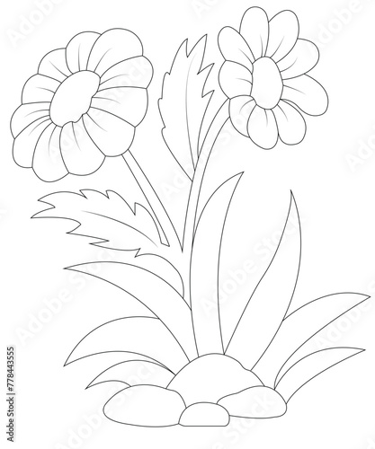 flowers coloring book page for kids and children
