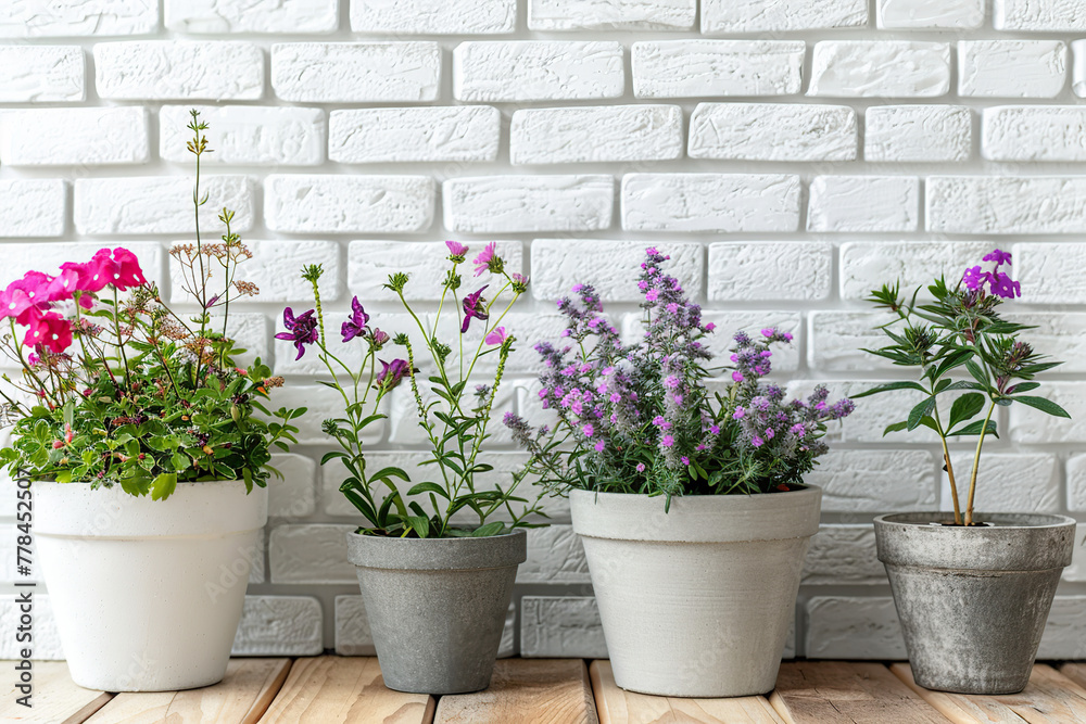 Different flowers in pots on white brick wall background