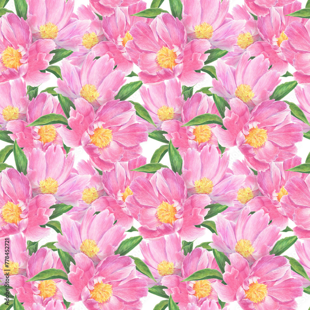 Seamless pattern of peony flowers and leaves drawn with colored pencils.