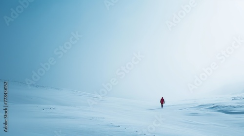 Solitary Figure in Snow-covered Landscape