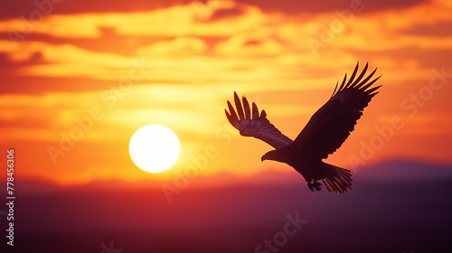 Majestic Eagle in Sunrise