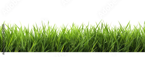 Fresh green grass isolated against a transparent background