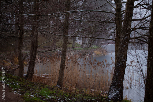 A gloomy and overcast winter day on the shore of Bernardine Lake. Trakai  Lithuania.
