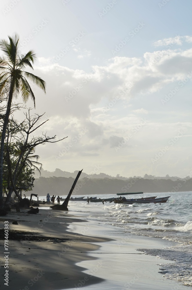 Naklejka premium a person walking along the beach near palm trees and boats