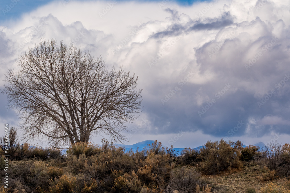 March Clouds