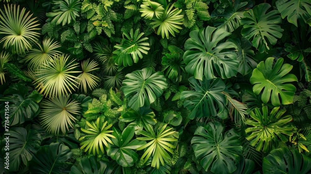 The ground is covered with tropical green leaves, 