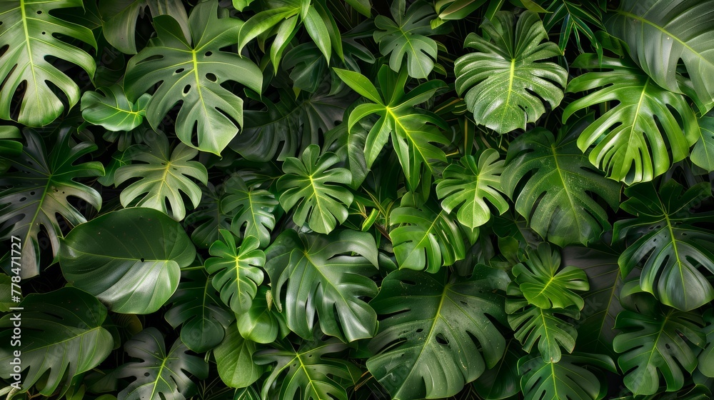 The ground is covered with tropical green leaves, The ground is covered with tropical green leaves,