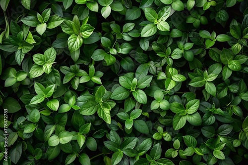 Green leaves background. Natural green leaves background. Green leaves pattern. Generative AI