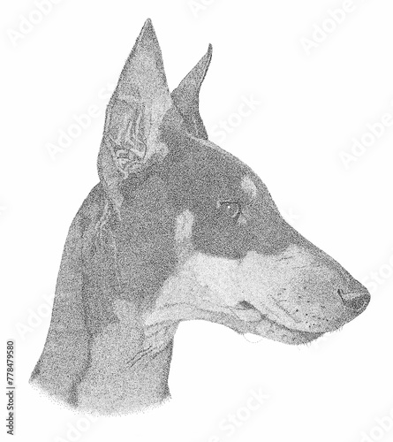 Slika na platnu Manchester Terrier Pen and Ink Portrait