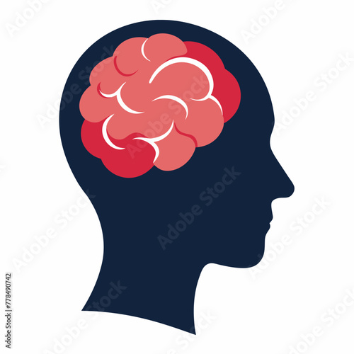 Fototapeta Naklejka Na Ścianę i Meble -  Human Head Brain Vector Illustrations