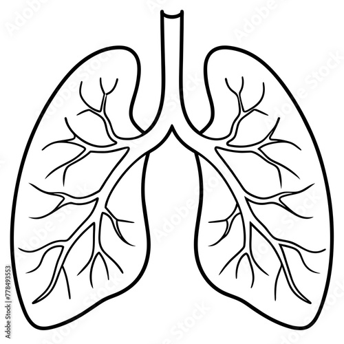 Lungs Isolated on White Background for Medical Illustrations