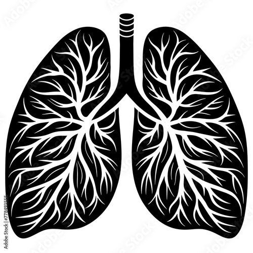 Lungs Isolated on White Background for Medical Illustrations