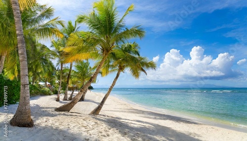 Tropical beach  ocean shore  palms  blue sea  vacation concept