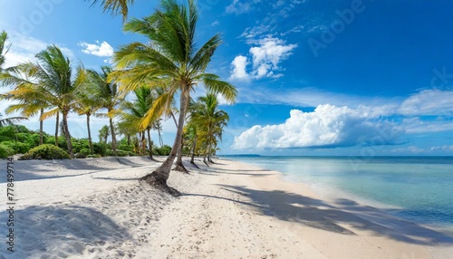 Tropical beach  ocean shore  palms  blue sea  vacation concept