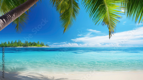Vacation, holiday, summer, travel - beach with sea or ocean water and blue sunlight sky, palm trees with leaves  © Gertrud
