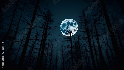 spooky night background with moon over the forest 