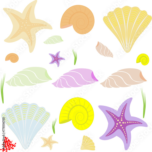 A colorful set of seashells, sea snails, and starfish. Modern flat illustration of seashells