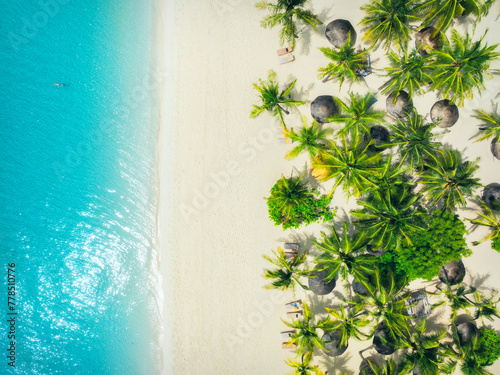 Aerial view of green palm trees, umbrellas on the empty sandy beach, blue sea at sunset. Summer travel in Kendwa, Zanzibar island. Tropical landscape with palms, white sand, clear ocean. Top view