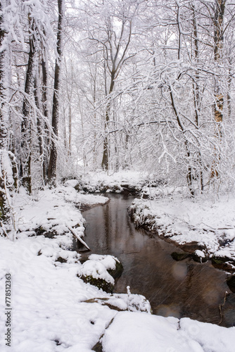 Stream of water flowing through forest with snow covered trees, gothenburg sweden