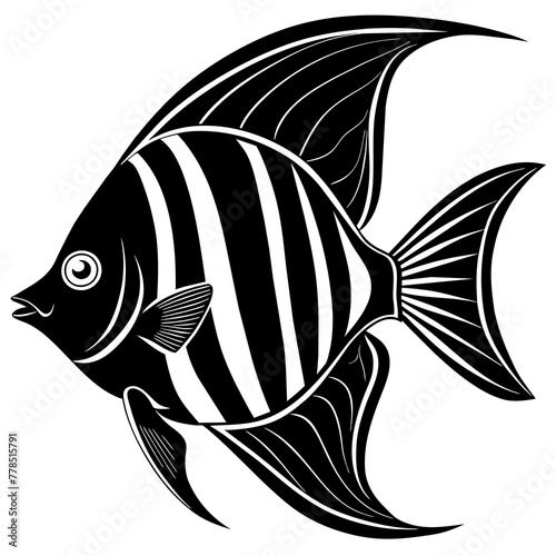 angelfish silhouette vector illustration