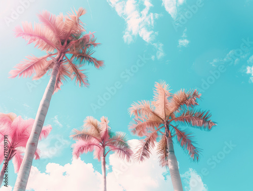 Three palm trees against a blue sky with clouds. View from the lower angle. Infrared. © alisluch
