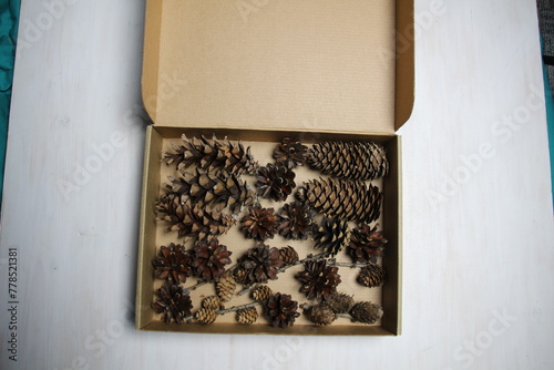 open box with sprout cones on wooden background