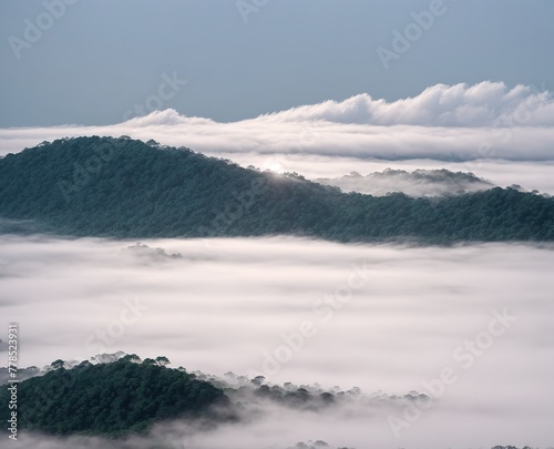 The Foggy Landscape