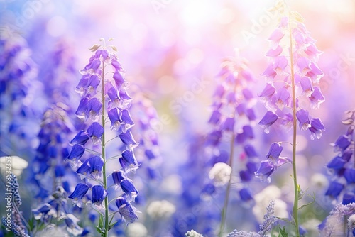 Bluebell flowers in sunlight with bokeh effect