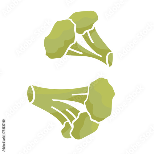 two florets of broccoli color vector illustration