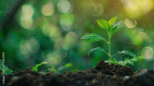 A young plant sprouting from the ground in garden with nature green blur background. AI generated
