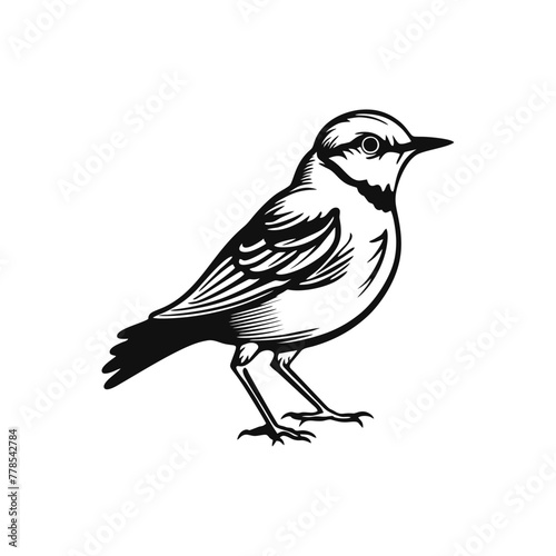 simple element illustration of bird logo