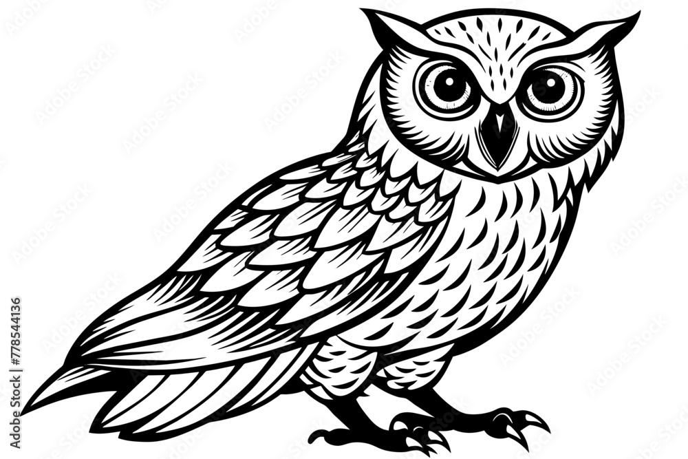 owl--on-a-white-background vector illustration 